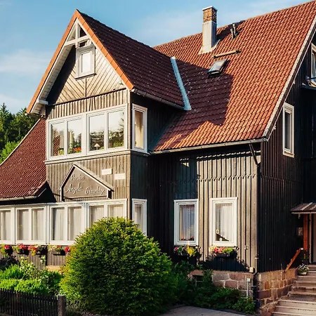 Haus Angela Mit Ferienwohnungen Harzperle I Und II Daire *
